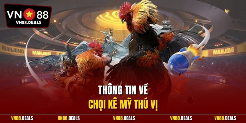 Thông tin về chọi kê Mỹ thú vị